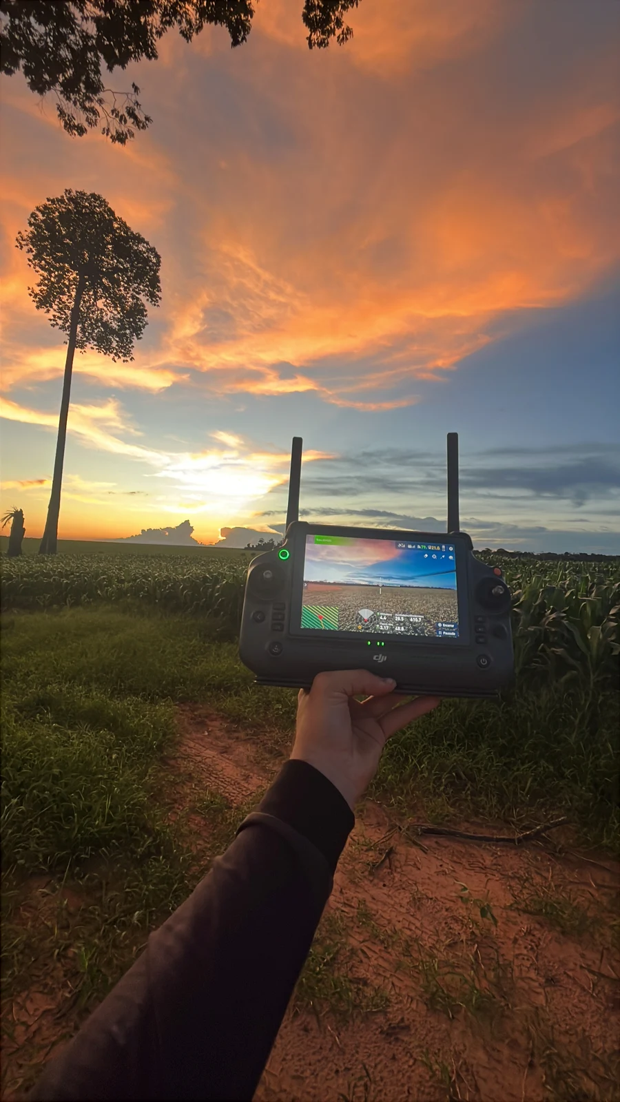 Controle de drone diante de uma lavoura ao entardecer